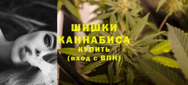 СК Мегион