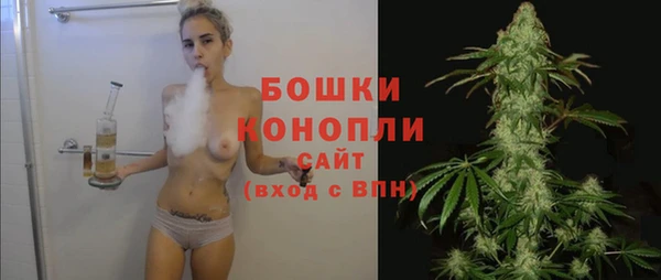 молекула духа Майский